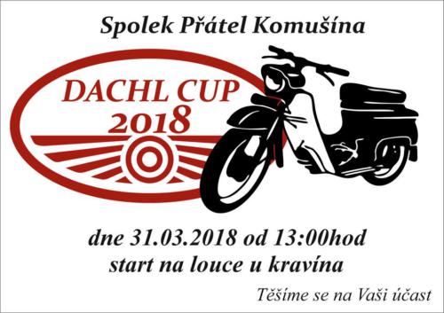 Dachl cup 2018